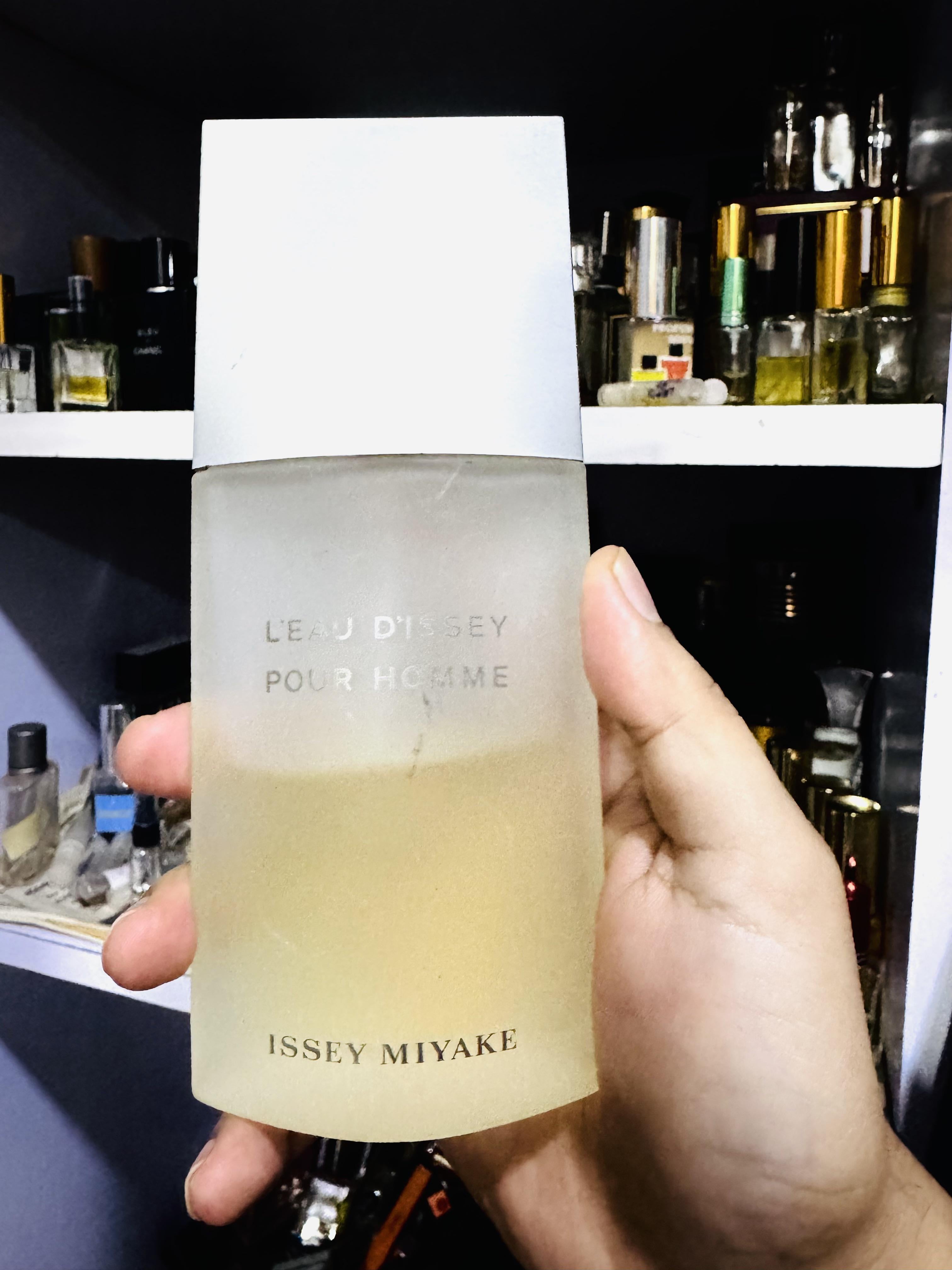 Why do men love Issey Miyake male cologne? Explore the appeal of LEau dIssey Pour Homme today.