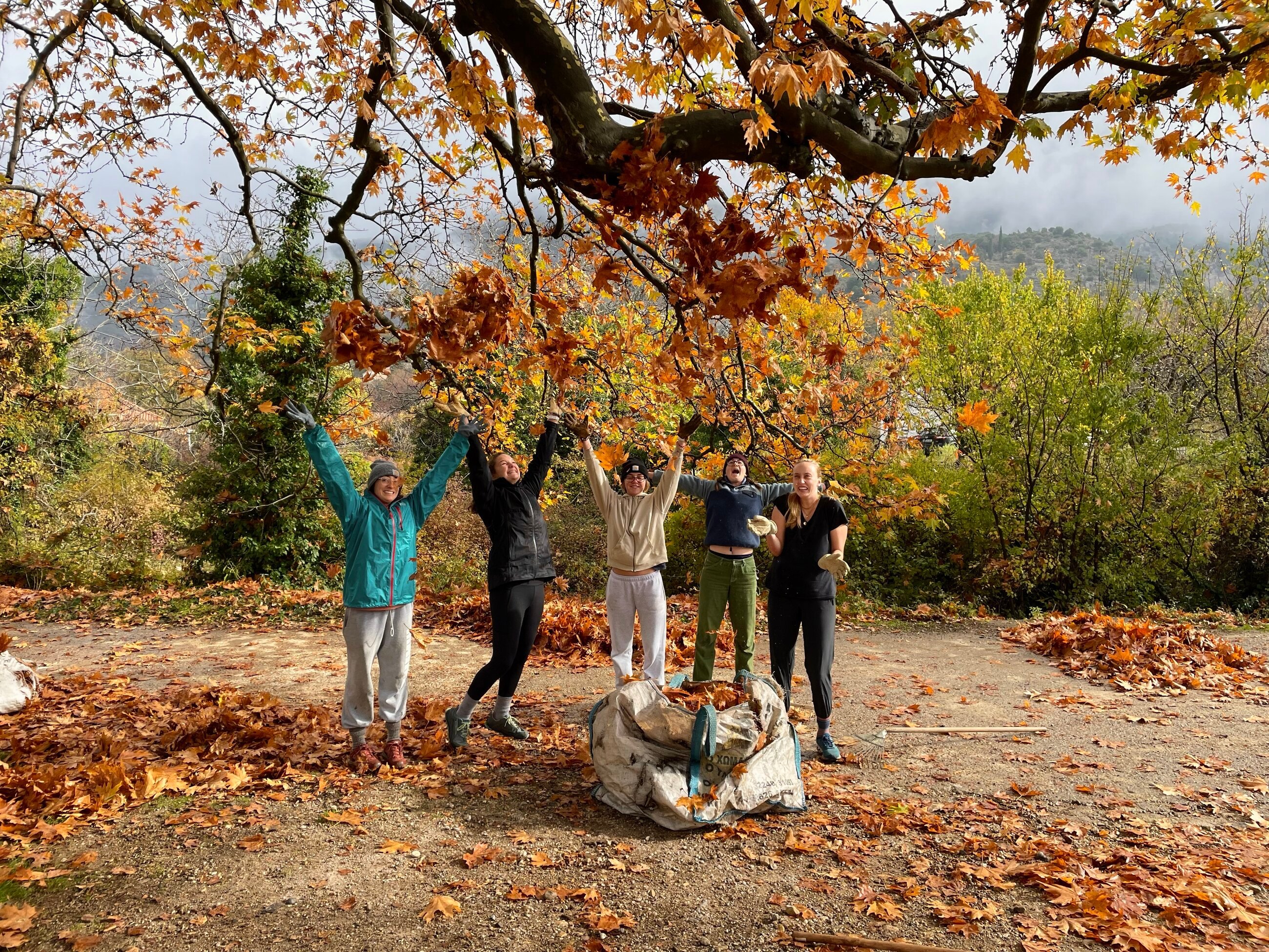 Main in the Fall: Is it a Good Time to Study?