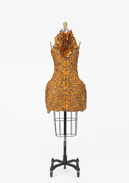 How much does the famous butterfly dress alexander mcqueen cost? Get insights into its pricing and value.