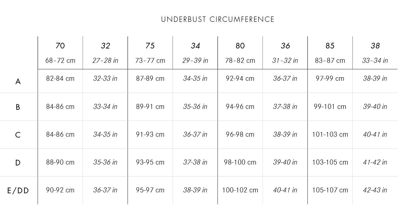 Celebrity Bra Size Chart: Know Your True Bra Size