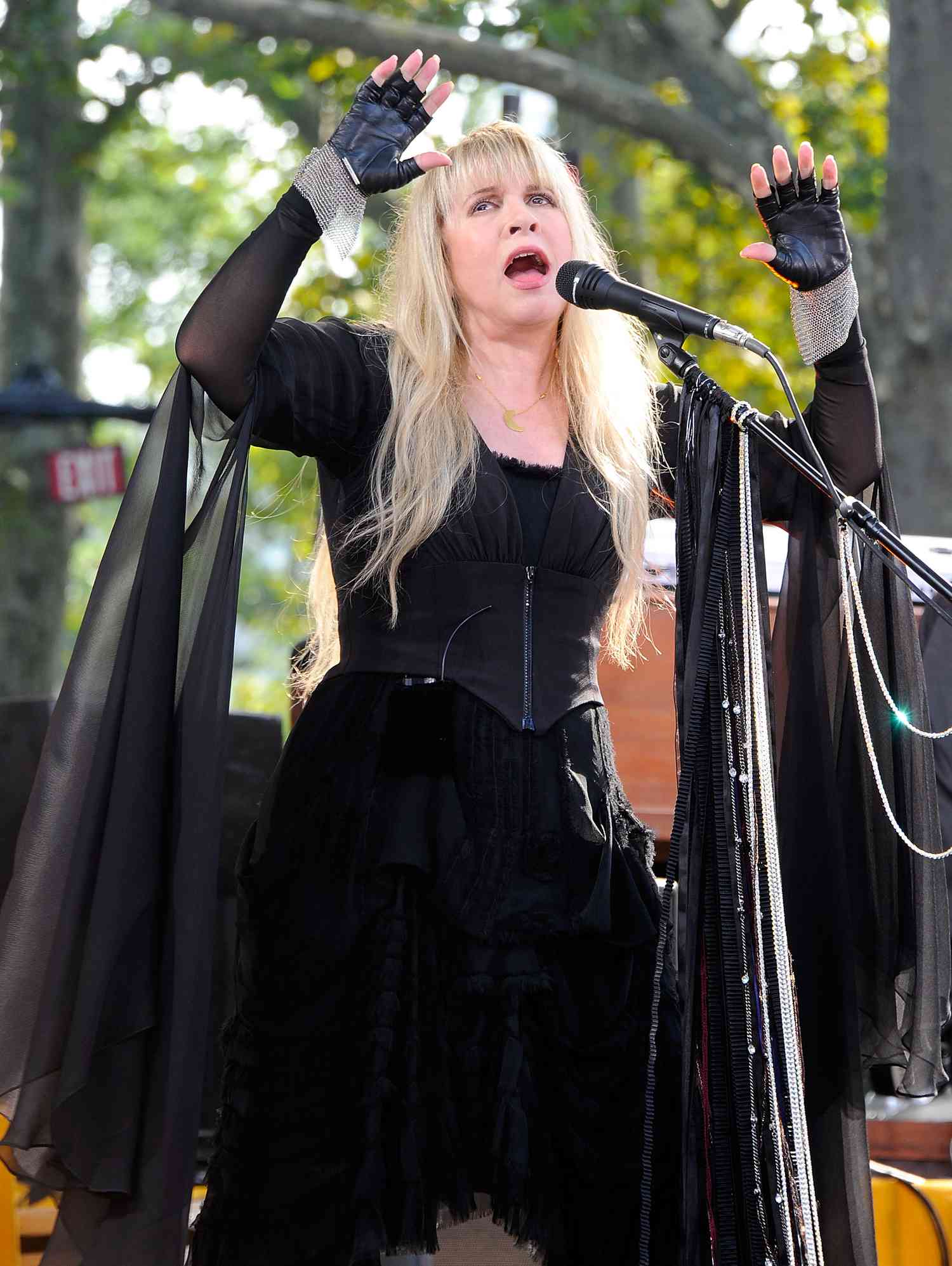 What are the most iconic Stevie Nicks outfits? See photos of her unforgettable stage looks.
