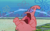 Patrick with bottle on head: The best memes and moments
