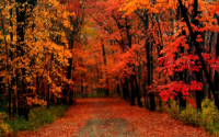 Where to find Autumn Ren? Social media and more updates here!