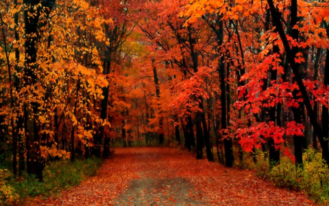 Where to find Autumn Ren? Social media and more updates here!
