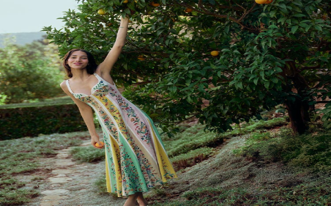 Where can I buy a cute brat dress online? Check out these top stores for the best styles now.