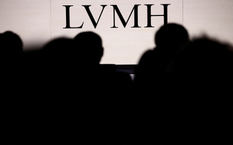 Meet the LVMH Board of Directors: Get to Know Key People