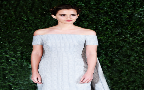 Need a recap of 2017 dress trends? Here are four key looks you definitely remember seeing!