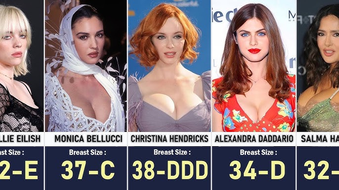 Celebrity Bra Size Chart: Know Your True Bra Size