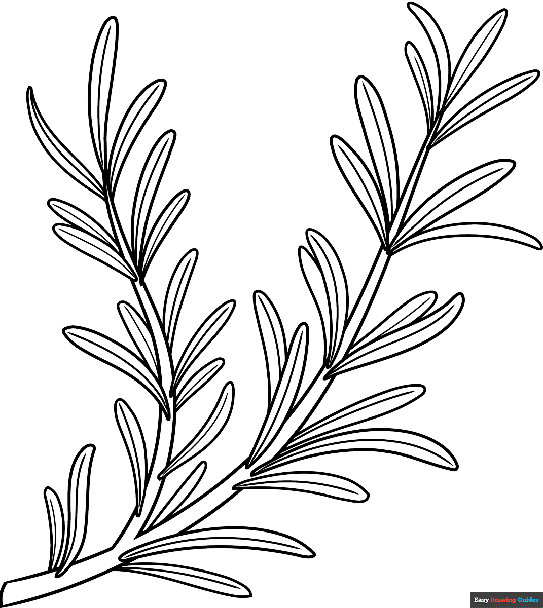 Where can I find free rosemary clip art? Check out these amazing websites for easy downloads.
