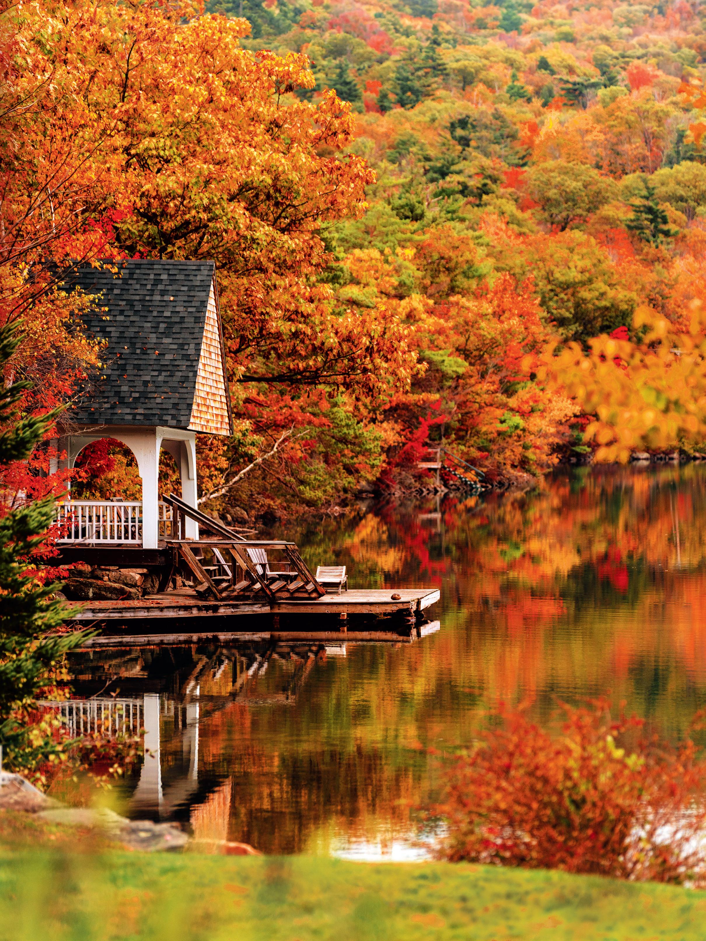 What was daily life like in fall 2001? (Remembering that truly unforgettable autumn season)