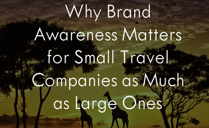 Why is a brand trip effective for marketing (see how it can quickly increase your brand awareness).
