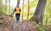 What was daily life like in fall 2001? (Remembering that truly unforgettable autumn season)