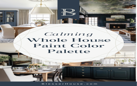 Brown Color Shades Paint: Whats Your Favorite Shade?