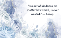 Discovering kinds of kindness nyc is easy. Here are some simple ways to find them daily.