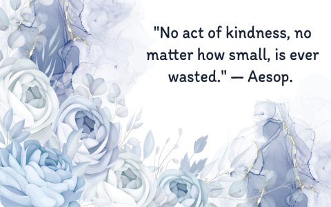 Discovering kinds of kindness nyc is easy. Here are some simple ways to find them daily.