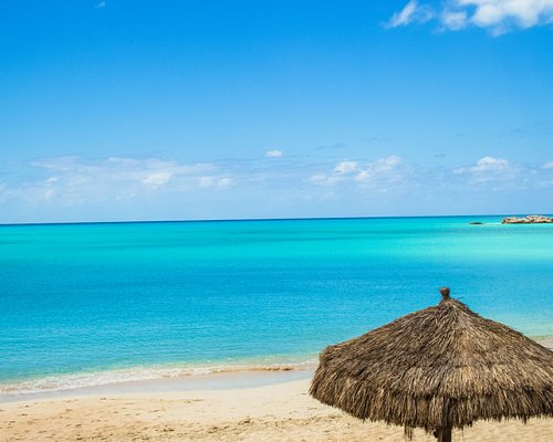 What Makes Fernandez Resort So Special? Learn Why Its a Favorite Vacation Spot for Many People!