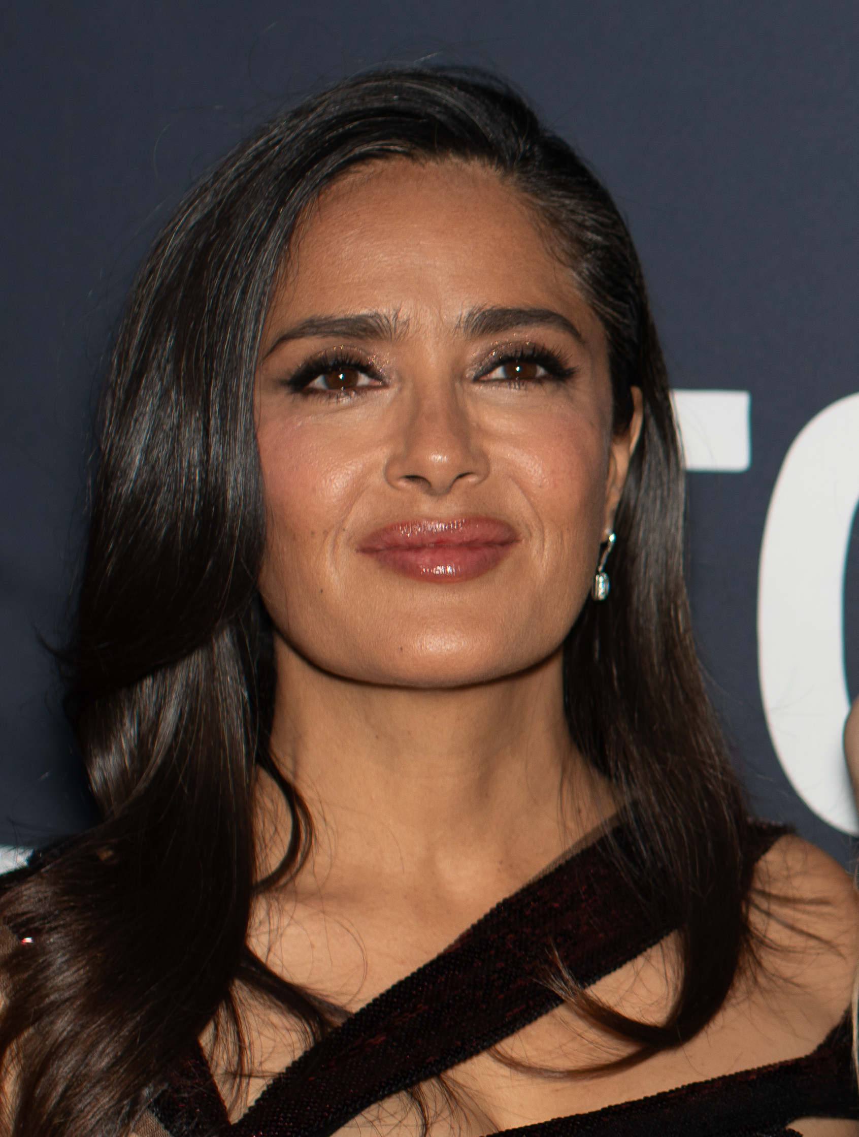 Salma Hayek 2010 Movies List? (Find Out Every Film She Was In During That Period!)