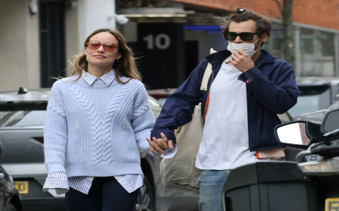 Curious about Olivia Wilde relationships? Here is a simple breakdown of her past loves.
