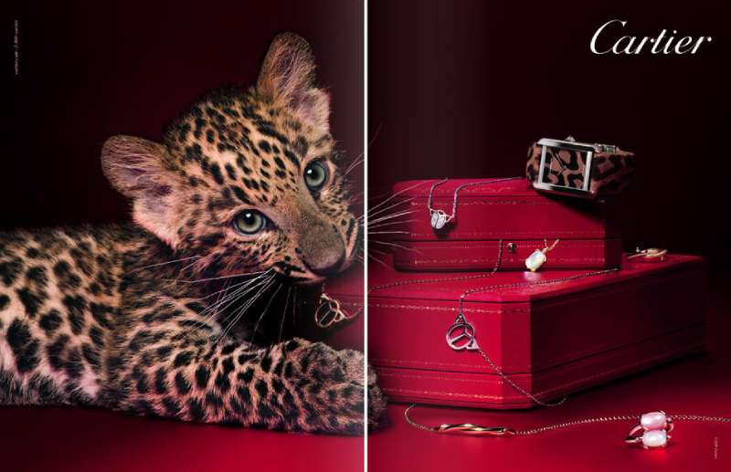 What makes Cartier ads in Asia so successful? Discover their unique marketing approach in the region.