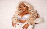 Megan Thee Stallion blue hair: was it real or a wig? Find out about her stunning transformation!