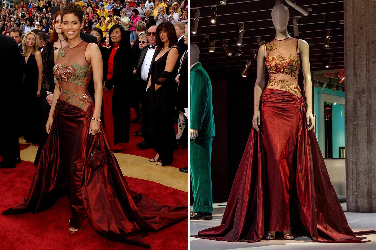 Halle Berry Elie Saab Dress: A Red Carpet Favorite