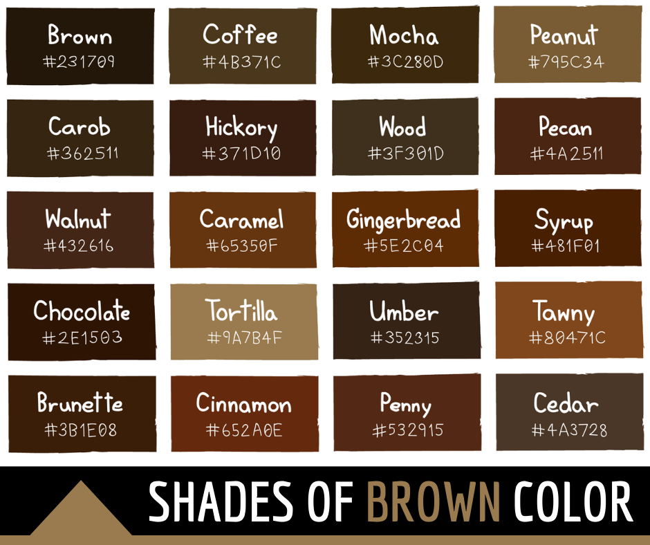 Brown Color Shades Paint: Whats Your Favorite Shade?