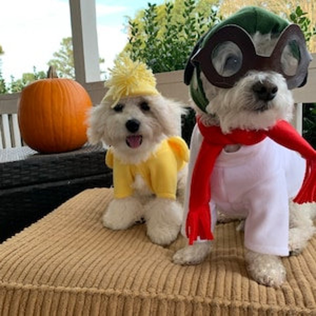Looking for clothes for Snoopy deals? (Get great prices on outfits for your Peanuts pup)