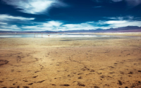 What is a Bay Lord? Discover the Meaning and Stories Behind This Unique Seaside Title.