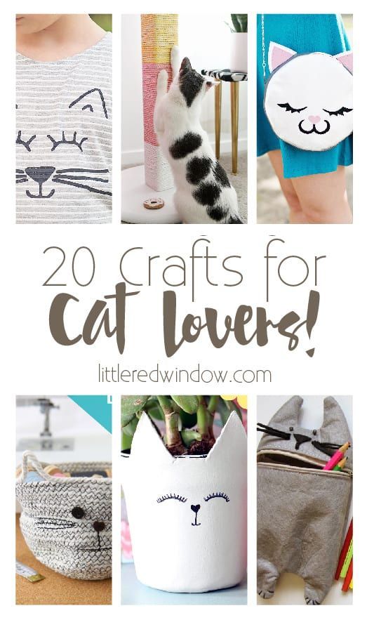 Want unique cat wedding attire ideas now? Try these three fun DIY projects for your special cat.