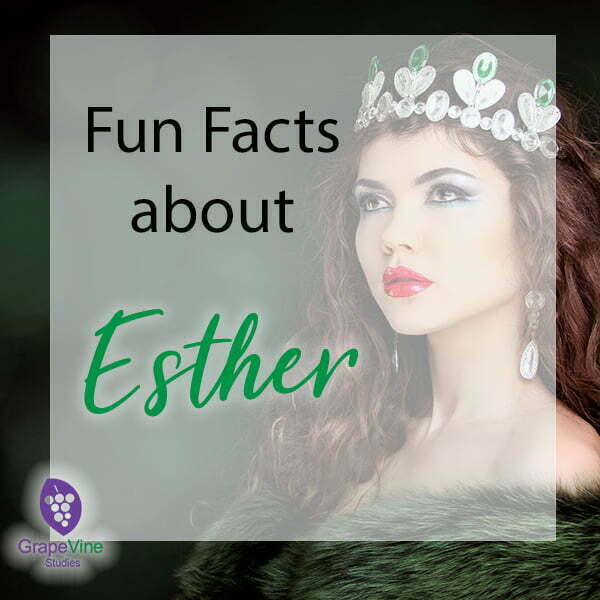 Want some interesting facts about Esther Kamatari? We share surprising and little-known details about Esther Kamataris life.