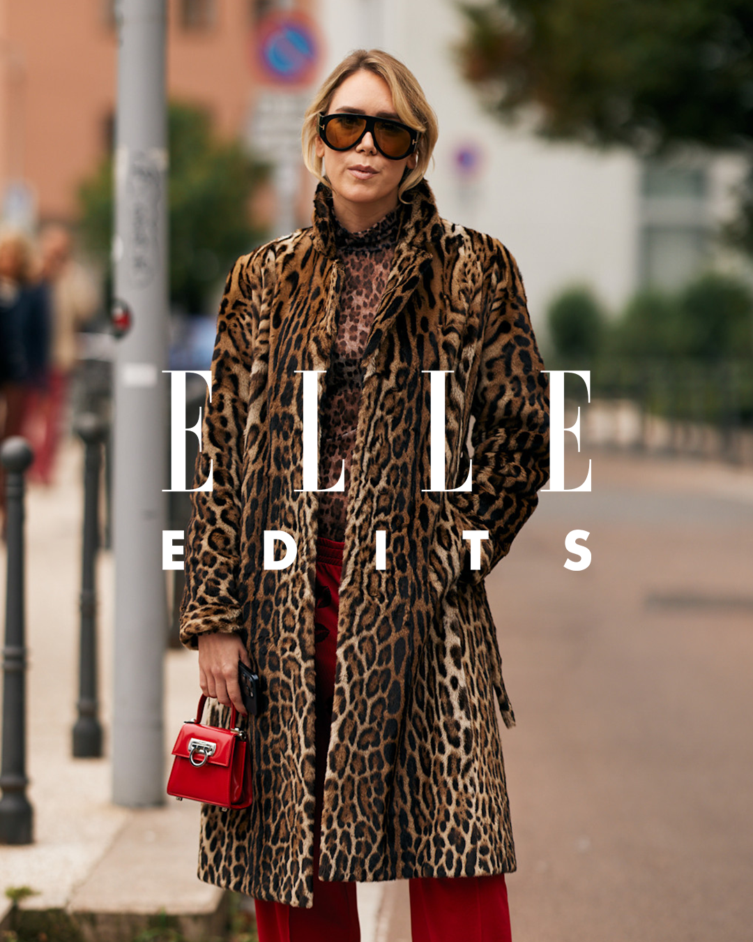 What is Animal Print Coatigan? Everything You Need to Know