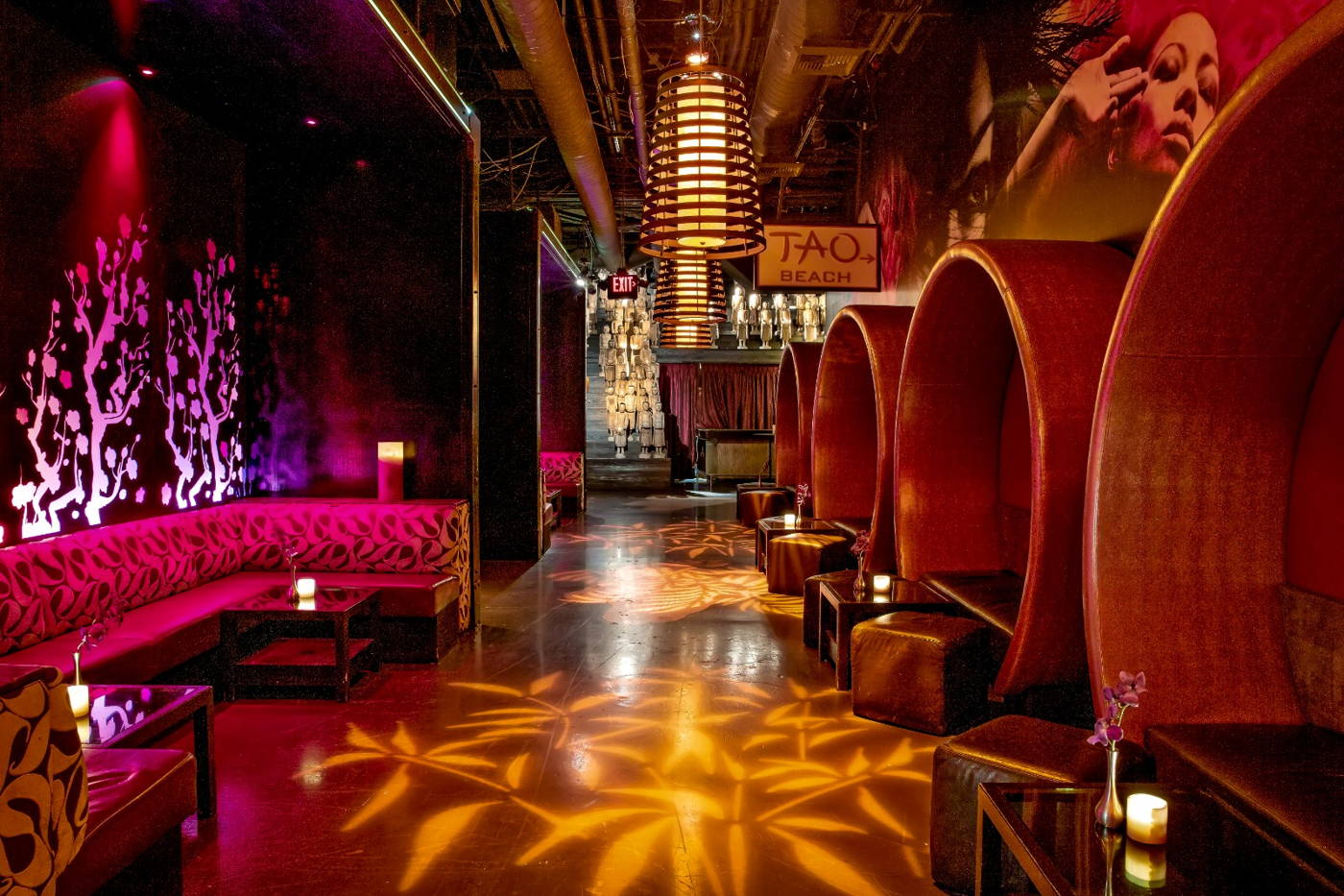 Where to Look for Tao Nightclub Photos Best Sites Compared