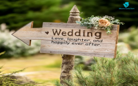 What are the best parts of love and sports (Learn how they bring happiness and closer bonds)