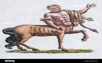 Need centaur woman art and tales? Here is where to find the best images and stories.