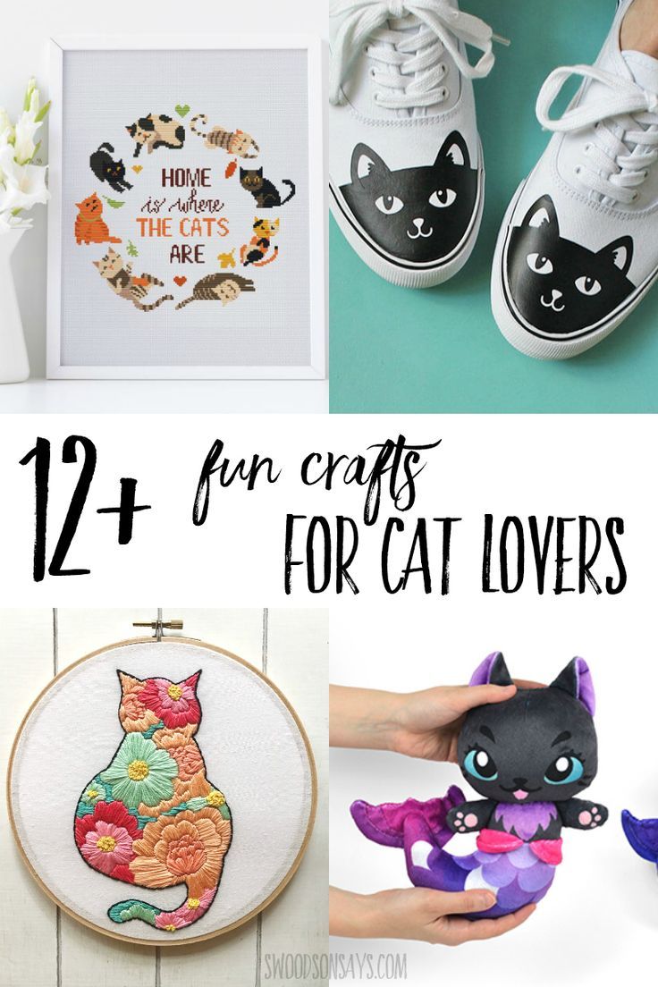 Want unique cat wedding attire ideas now? Try these three fun DIY projects for your special cat.