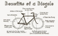 Ride the Cycle Trend: Tips for your advantage
