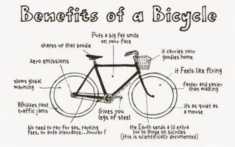Ride the Cycle Trend: Tips for your advantage