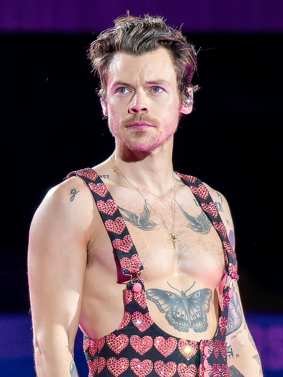 Whats the deal with harry styles nude speculation? Heres a simple breakdown for fans.
