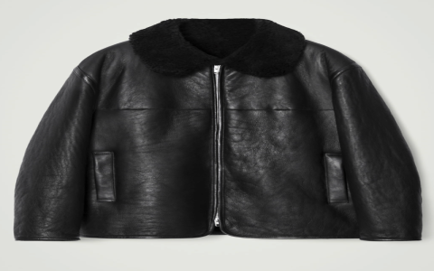 Where can I buy a good quality winter coat shearling? (Find great deals and trusted shops right here).