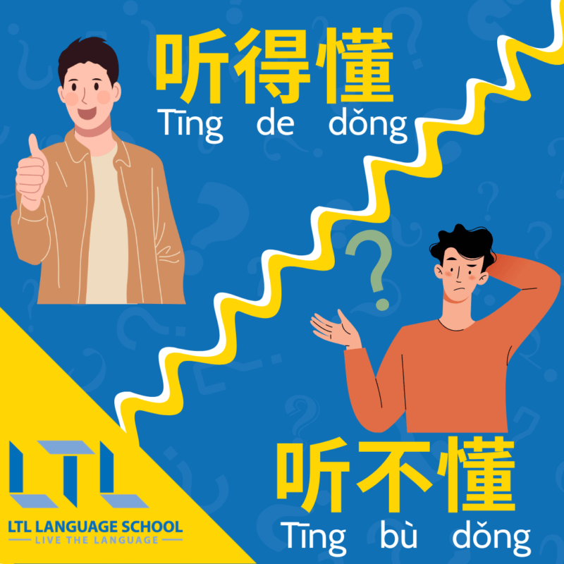 Want to understand what is a reader in Chinese? Get clear explanations and examples right here!