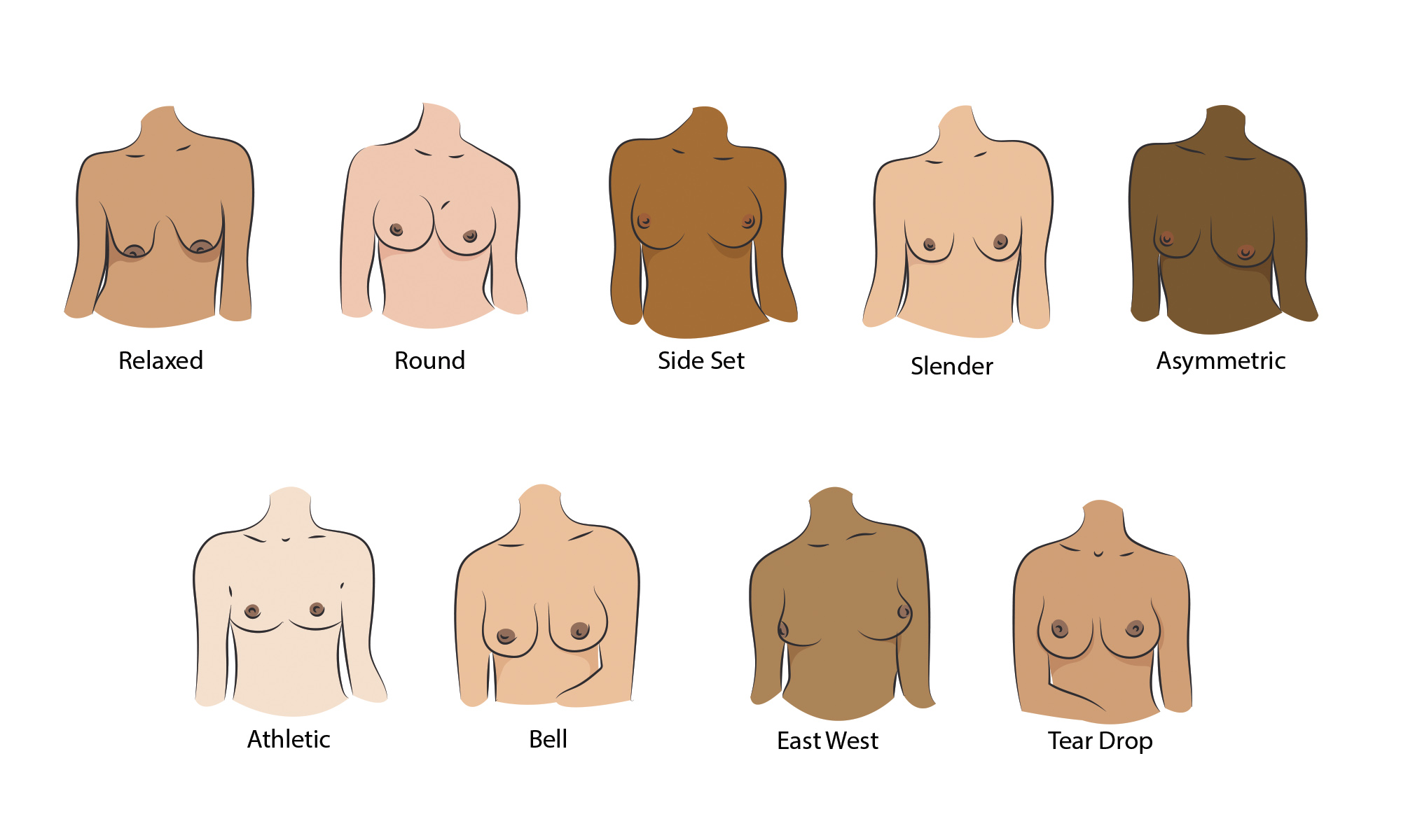 What are different styles of sexy big breasted models? Explore various types and see stunning examples now!