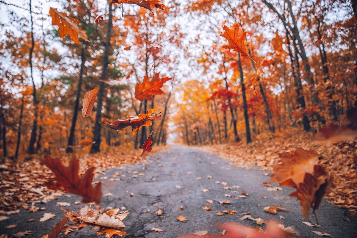 early fall images shooting tips make your photos cool and bright colors