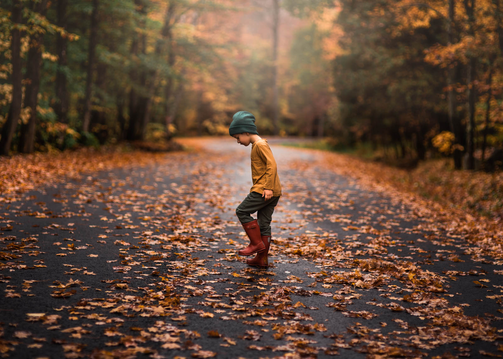 early fall images shooting tips make your photos cool and bright colors
