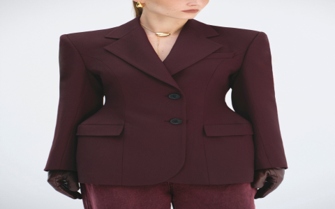 Cheap Nipped Waist Blazer? Top 5 Picks Look Expensive!