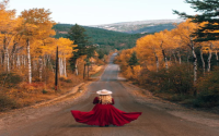 early fall images shooting tips make your photos cool and bright colors