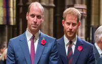 William vs Harry royal differences why these brothers now live apart