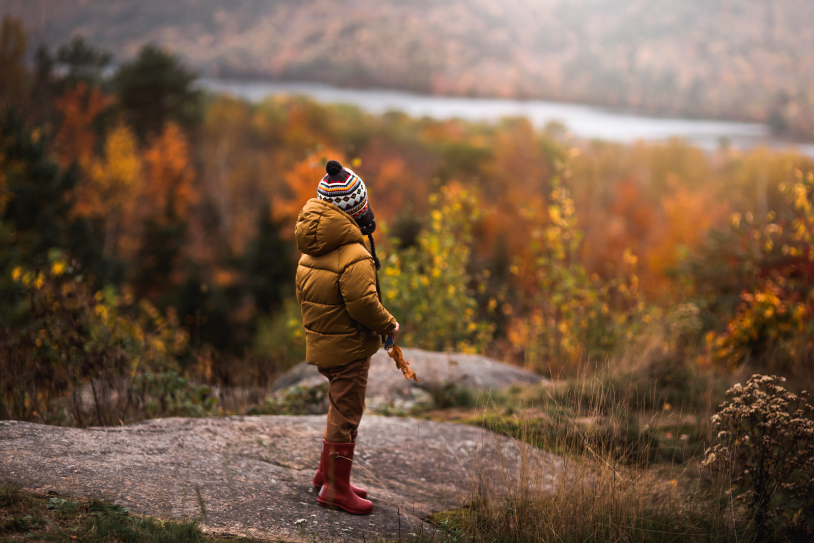 early fall images shooting tips make your photos cool and bright colors