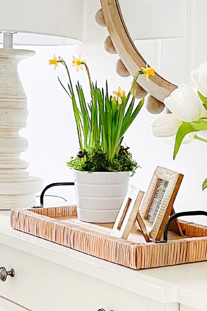 Best Symbols for Spring Decor Ideas to Bring Nature Indoors Today