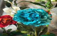 Real flowers like Alice in Wonderland top 5 pretty choices for gardens