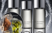 Best Issey Miyake Male Gift Ideas: Popular Choices He Will Like